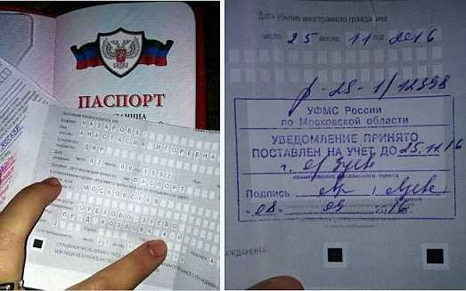 прописка в Малой Вишере